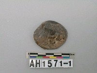 藏品(圓盤形石料)的圖片